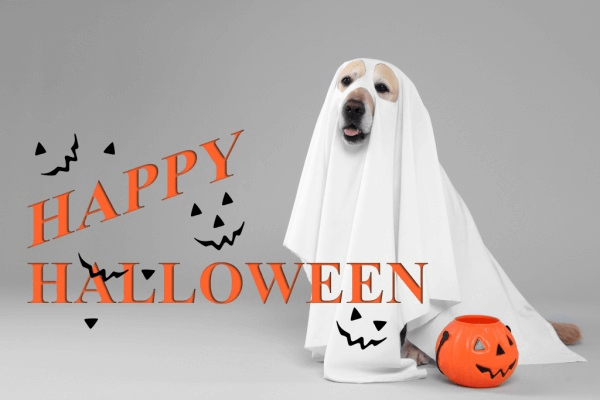 Happy Halloween from Sugar House Mortgage